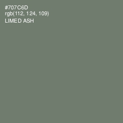 #707C6D - Limed Ash Color Image